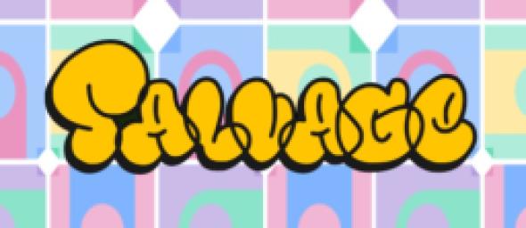 Salvage Fingerboards logo