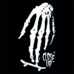 Close Up Fingerboards