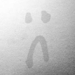 Loner Fingerboards logo