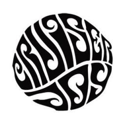 Cruiser Joy fingerboards