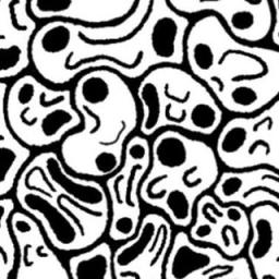 December Fingerboards